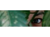 malentendidas brujas