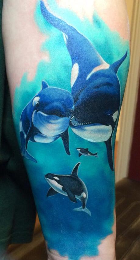 20 ideas de Tatuajes de Delfines