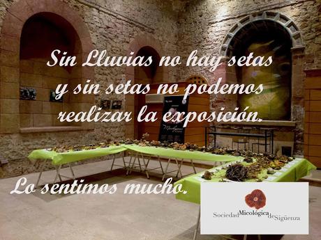 SUSPENDIDA LA EXPOSICIÓN DE SETAS DE LAS II JORNADAS MICOLÓGICAS DE SIGÜENZA SUSPENDIDA LA EXPOSICIÓN DE SETAS DE LAS II JORNADAS MICOLÓGICAS DE SIGÜENZA