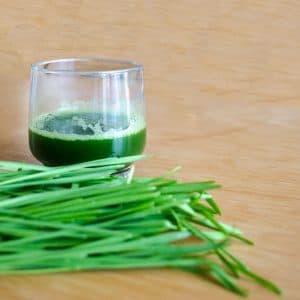 chupito de wheatgrass