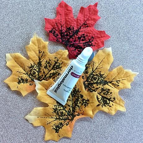 Novedades de Dermalogica® para el Cuidado Facial y de los Labios Novedades de Dermalogica® para el Cuidado Facial y de los Labios