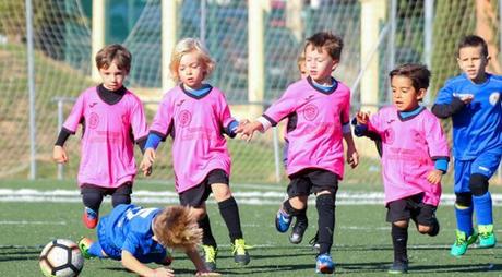 El Alevín del CD Los Caminantes y los Bebes y Pre-benjamines del SAM realizaron un magnifico papel en sus categorías El Alevín del CD Los Caminantes y los Bebes y Pre-benjamines del SAM realizaron un magnifico papel en sus categorías
