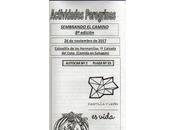 próximo domingo nuevo Sembrando Camino Santiago