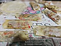 Masa Brik casera (Rollitos de primavera)