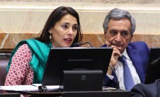 “Creo que estamos corrigiendo distorsiones con más distorsión”, les advirtió la Senadora Lucila Crexell (MPN)