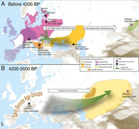 La Europa neolítica ya sufrió la peste negra desde la gran estepa