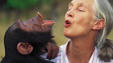 Jane Goodall: “Necesito que me ayuden a cuidar la Tierra”