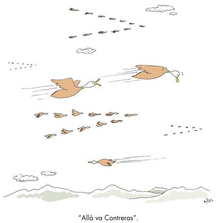 [Humor en cápsulas] Para hoy sábado, 25 de noviembre