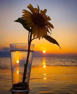 CANTAN LAS OLAS SOMBRÍAS...