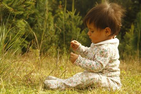 Ya listos para la navidad