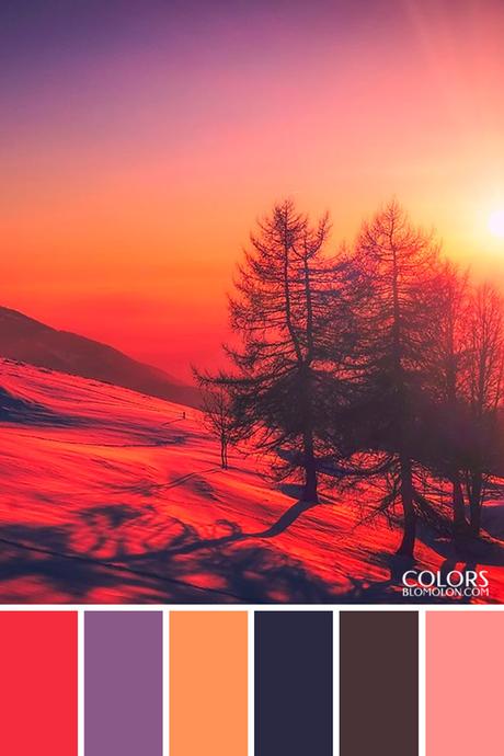 Paletas De Colores 20 Especial De Temporada