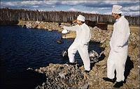 Karachay: el infierno de la estupidez humana Karachay: el infierno de la estupidez humana
