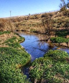 El Museo Histórico de Aspe, compromiso con la didáctica arqueológica.