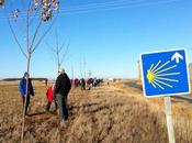 Actividad peregrina: Sembrando Camino Santiago, octava edición.