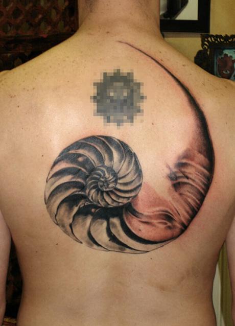 conchas de mar tatuajes conchas-de-mar-tatuajes