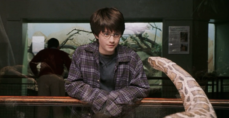 Harry Potter y la infancia maltratada (I)