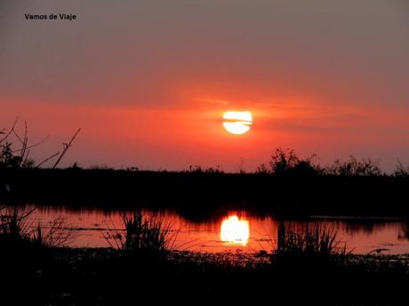 ESTEROS DEL IBERA. EL VIAJE QUE TE CAMBIA. CORRIENTES. Argentina