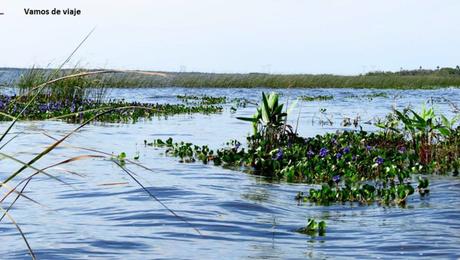 ESTEROS DEL IBERA. EL VIAJE QUE TE CAMBIA. CORRIENTES. Argentina