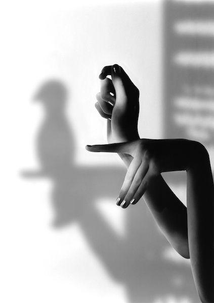 Y -dicen que- SE LE IBA EN PURO...VOLAR