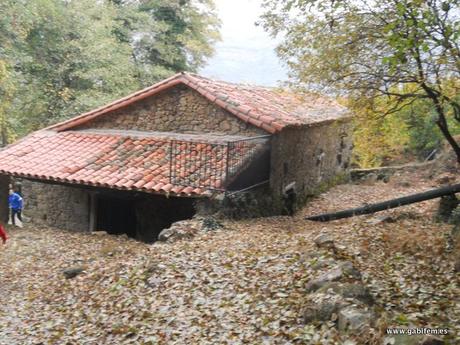 Otoñada Otoñada