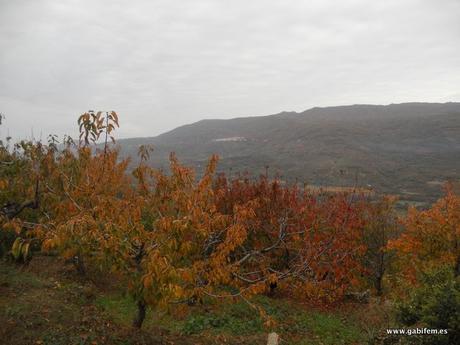 Otoñada Otoñada