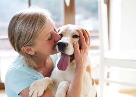 PDF: Terapia asistida con perros como apoyo a la terapia cognitivo conductual