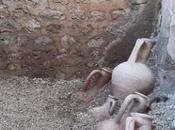Descubren ánforas romanas buen estado Pompeya