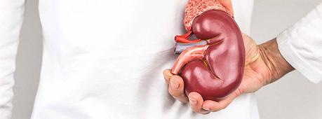 Urea alta Disfunción renal