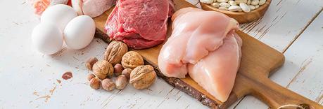 Urea alta Dieta alta en proteínas