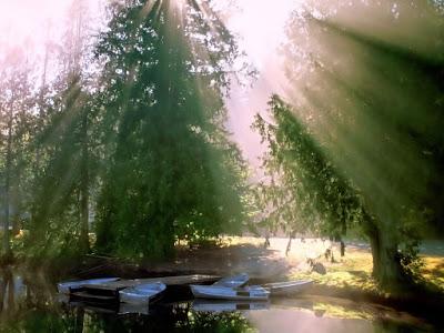 Las siete reglas de PARACELSO