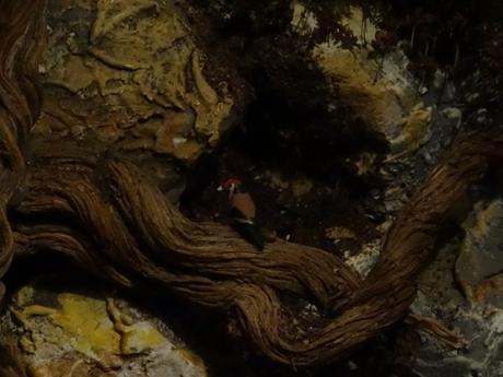 [Nuevo Post]: Secretos de Jerez y Arcos de la Frontera