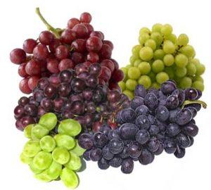 Uva y Vino Uva y Vino