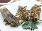 Insectos comestibles