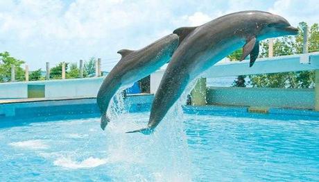 Que Ver En Cancún – 10 Atracciones Turísticas Imperdibles Que Ver En Cancún – 10 Atracciones Turísticas Imperdibles