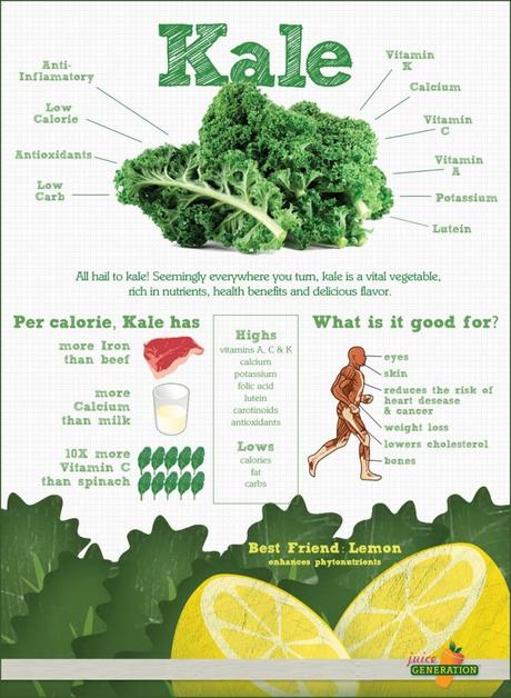 Kale, rica en minerales, vitaminas y antioxidantes