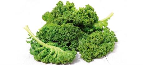 Kale, rica en minerales, vitaminas y antioxidantes