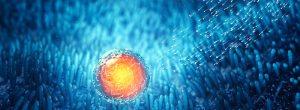 ¿La disfunción eréctil significa que un hombre es infértil? ¿Existe una conexión entre la DE y la infertilidad? Los antioxidantes, como la vitamina E y el zinc, pueden mejorar la fertilidad masculina cuatro veces