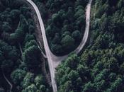 Píldora: Operador ternario Python (con ejemplos)