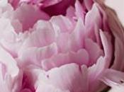 flor verdad Dickinson