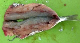SARDINAS REBOZADAS CON ALIÑO DE AJO Y PEREJIL SARDINAS REBOZADAS CON ALIÑO DE AJO Y PEREJIL