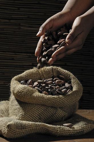 Superalimentos que pueden cambiar tu vida. Cacao Superalimentos que pueden cambiar tu vida. Cacao