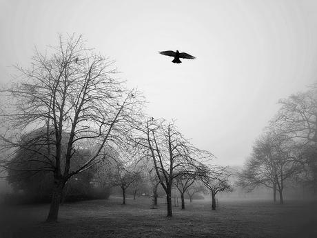 London (Regent´s Park): Free as a bird