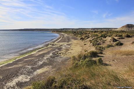 Hace un año estuve de vacaciones en la Patagonia y uno de... Hace un año estuve de vacaciones en la Patagonia y uno de...