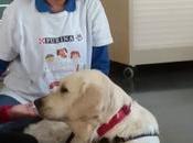 "Aprender juntos mejor"