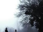 Como bosque noche Álvaro Bermejo