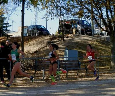 XXXVI CROSS INTERNACIONAL DE LA CONSTITUCIÓN (ALCOBENDAS) XXXVI CROSS INTERNACIONAL DE LA CONSTITUCIÓN (ALCOBENDAS)