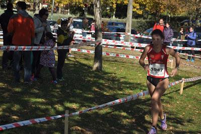 XXXVI CROSS INTERNACIONAL DE LA CONSTITUCIÓN (ALCOBENDAS) XXXVI CROSS INTERNACIONAL DE LA CONSTITUCIÓN (ALCOBENDAS)
