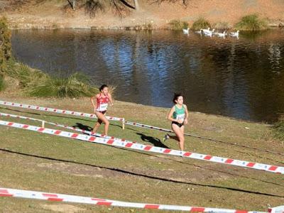 XXXVI CROSS INTERNACIONAL DE LA CONSTITUCIÓN (ALCOBENDAS) XXXVI CROSS INTERNACIONAL DE LA CONSTITUCIÓN (ALCOBENDAS)