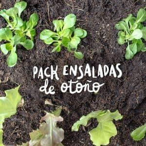 Pack de plantel ensaladas otoño
