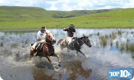 Brasil Brasil-entre-los-paises-con-mas-caballos-del-mundo